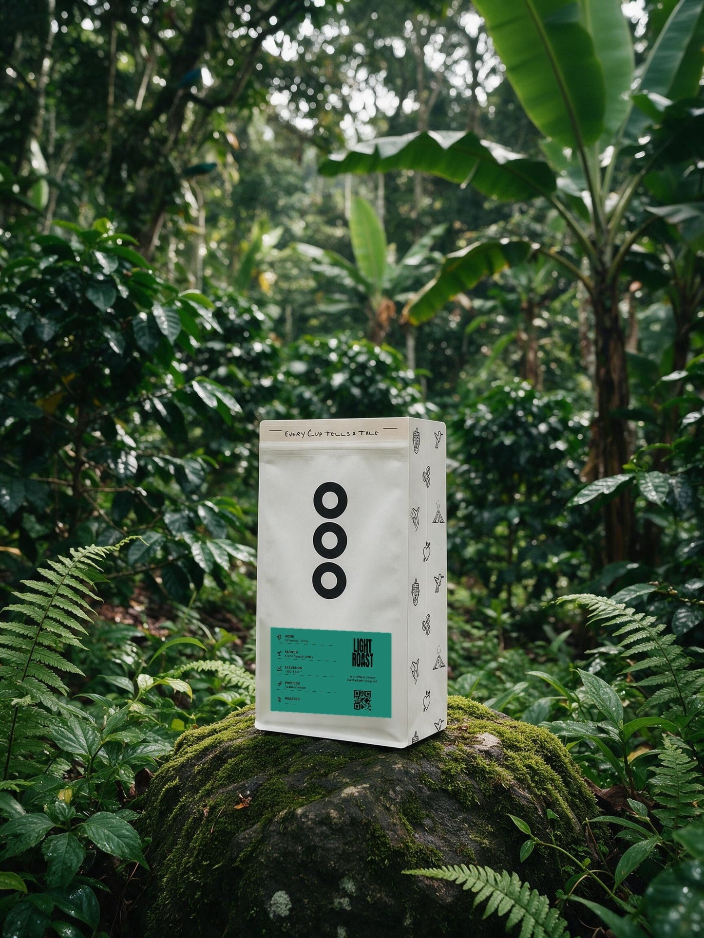 Andrés's Double-Anaerobic bag on a mossy stone in a rainforest coffee plot, La Mona Finca, Costa Rica