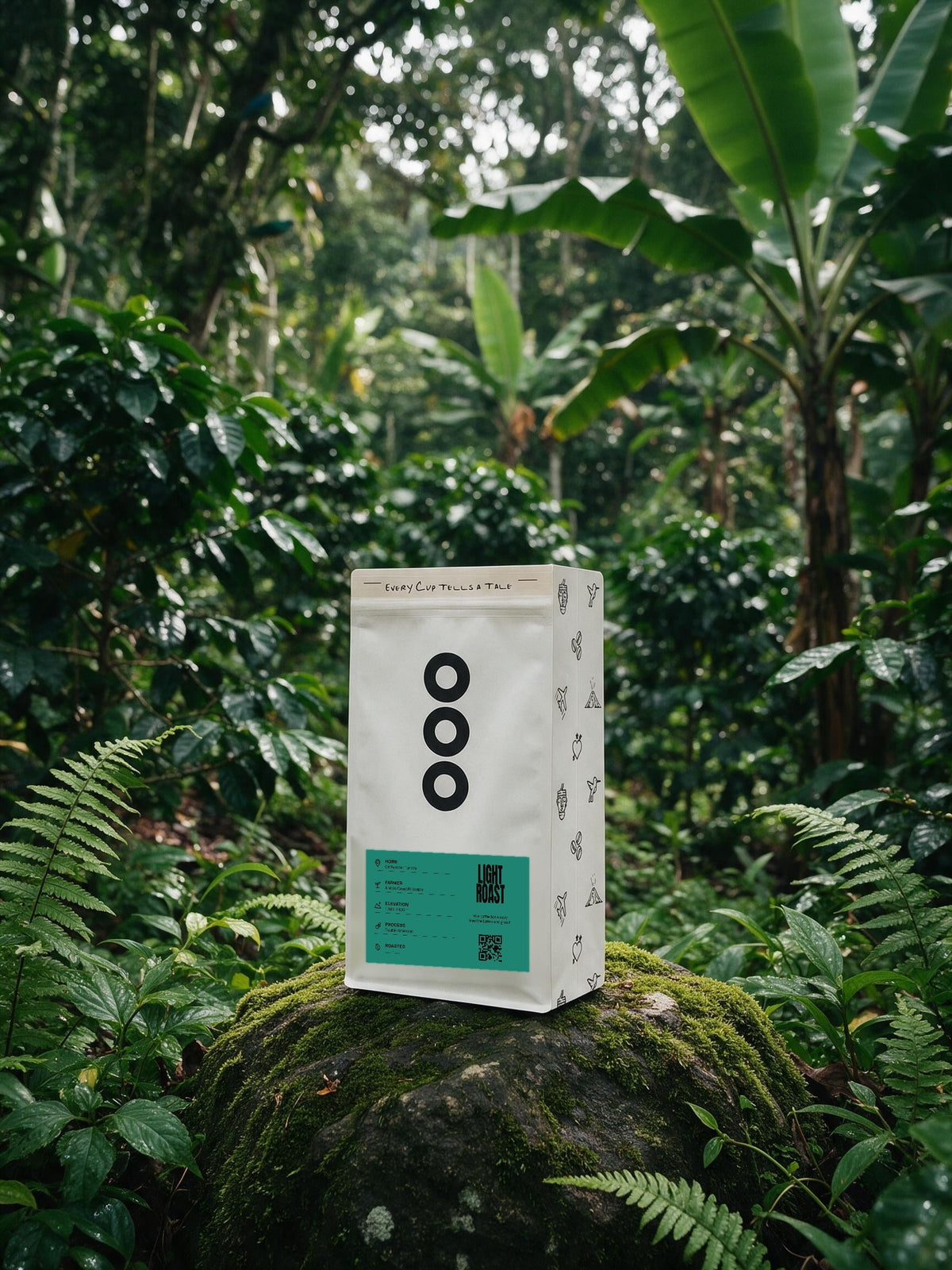 Andrés's Double-Anaerobic bag on a mossy stone in a rainforest coffee plot, La Mona Finca, Costa Rica