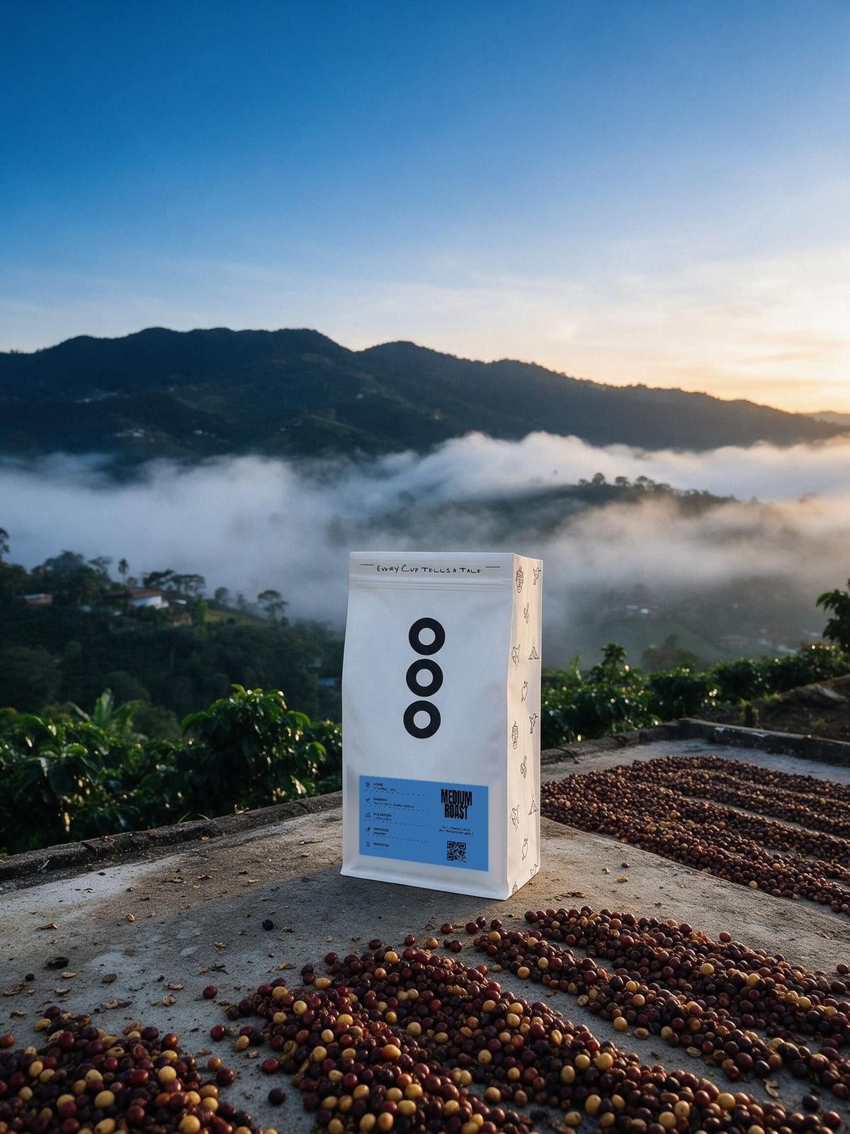 Seilyn's Anaerobic bag on a coffee drying patio at sunrise, Tarrazú, Costa Rica